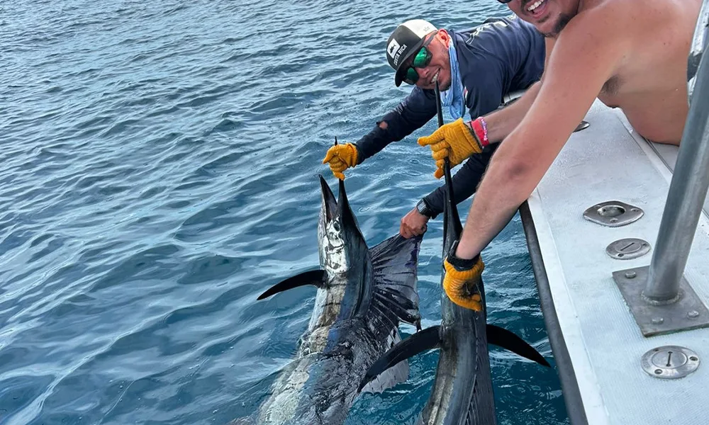 Sailfish Fishing Charter Jaco Sailfish Fishing Charter Jaco
