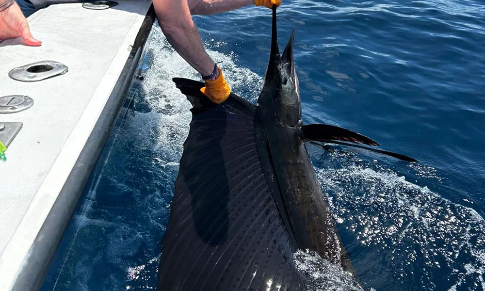 Jaco Fishing Package Jaco Fishing Package