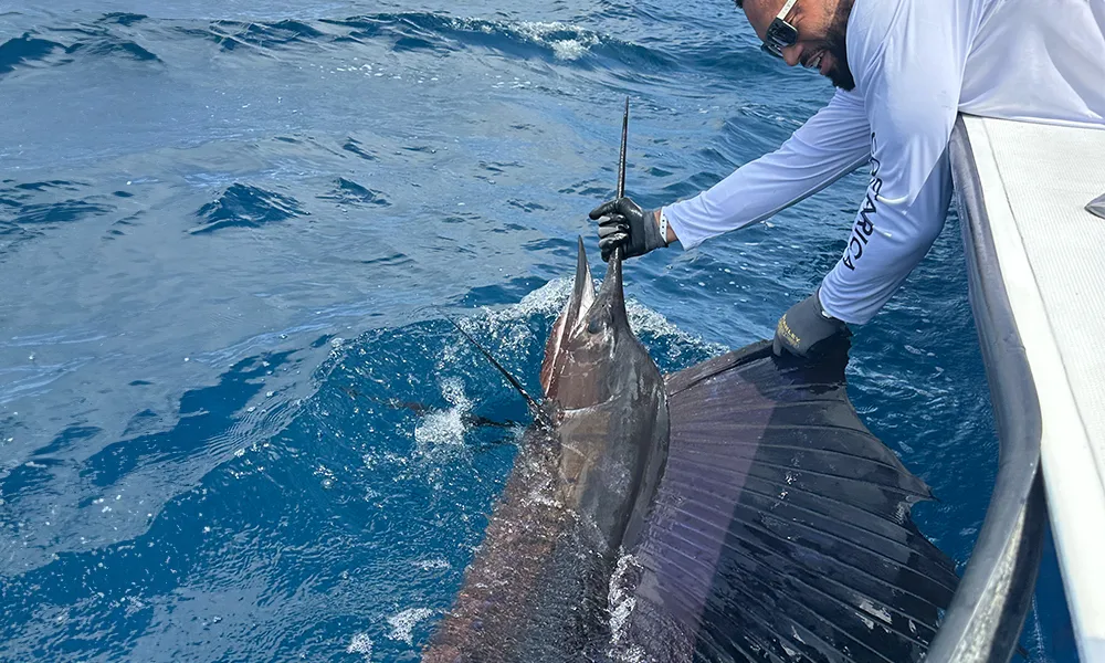 Sailfish Fishing Package Jaco Sailfish Fishing Package Jaco