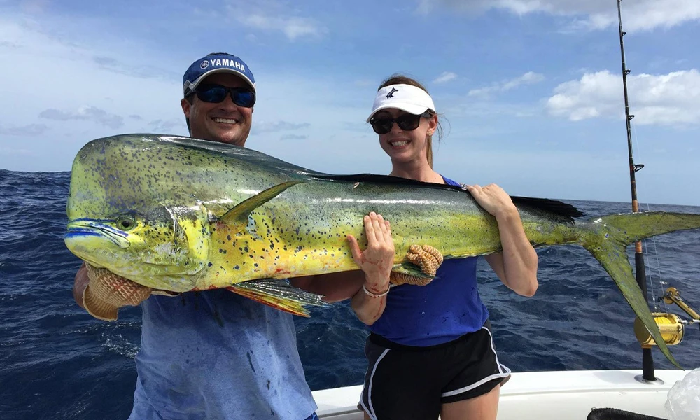 Sailfish Fishing Package Jaco Sailfish Fishing Package Jaco