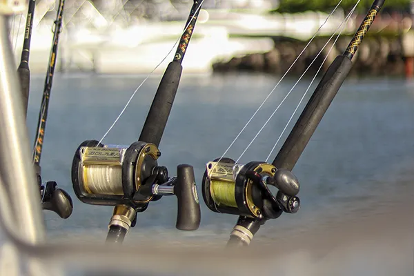 Sailfish Fishing Package Jaco Sailfish Fishing Package Jaco