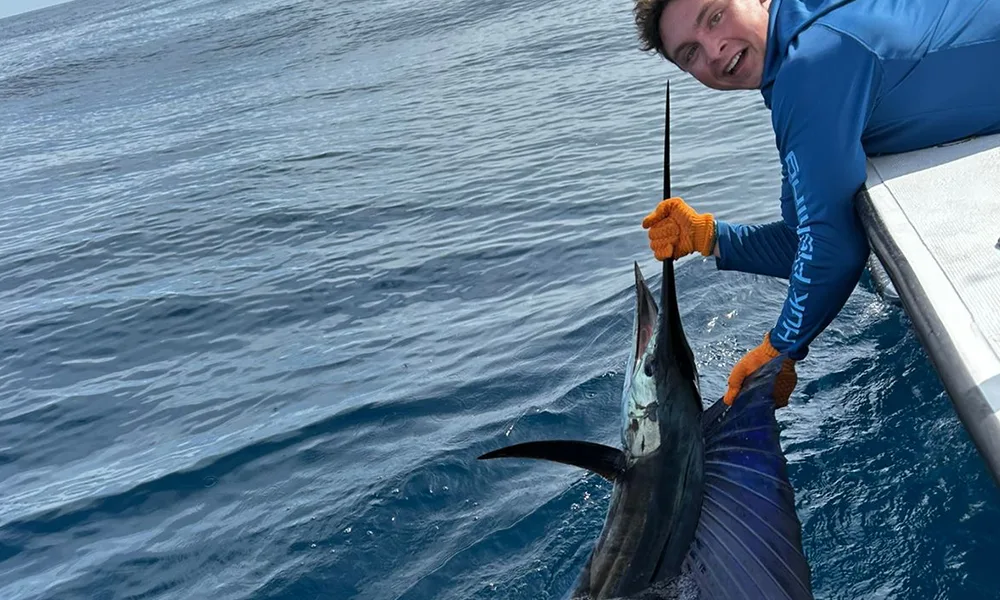 Sailfish Fishing Jaco Sailfish Fishing Jaco