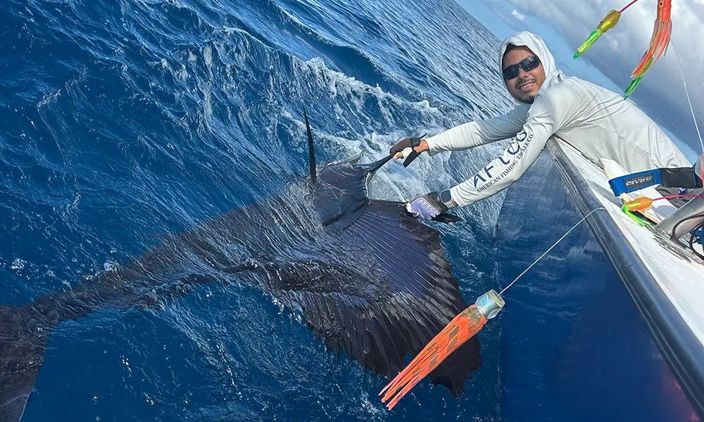 Sailfish Fishing Jaco Sailfish Fishing Jaco