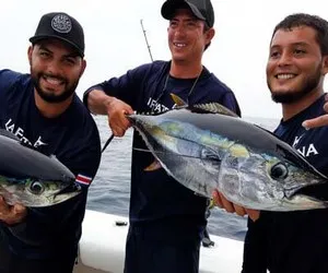 Tuna Fishing Jaco