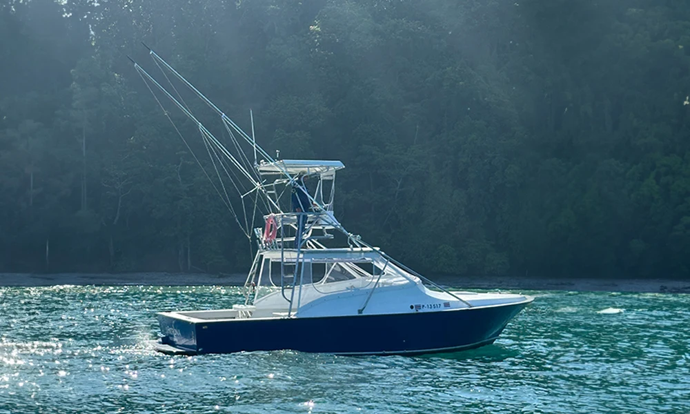 Fishing Charter Jaco Fishing Charter Jaco