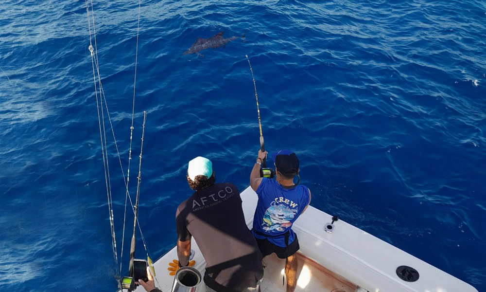 Responsible Sportfishing Jaco Responsible Sportfishing Jaco