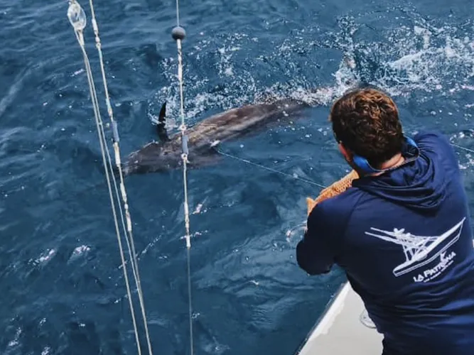 Responsible Sportfishing Jaco Responsible Sportfishing Jaco