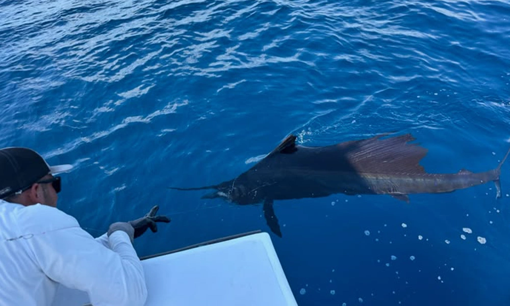 Responsible Sportfishing Jaco Responsible Sportfishing Jaco