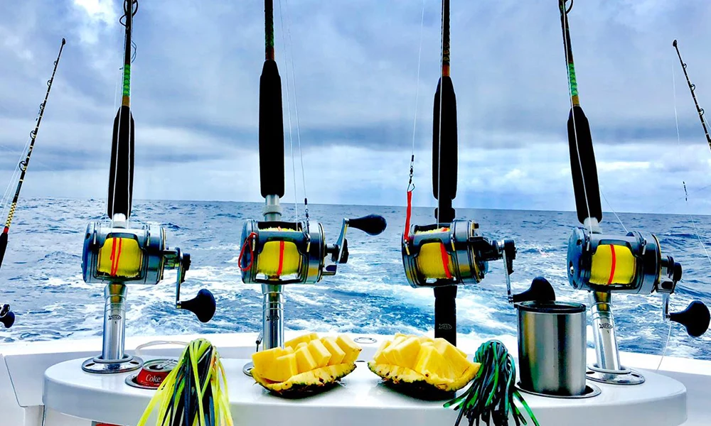 La Patrona Fishing La Patrona Fishing