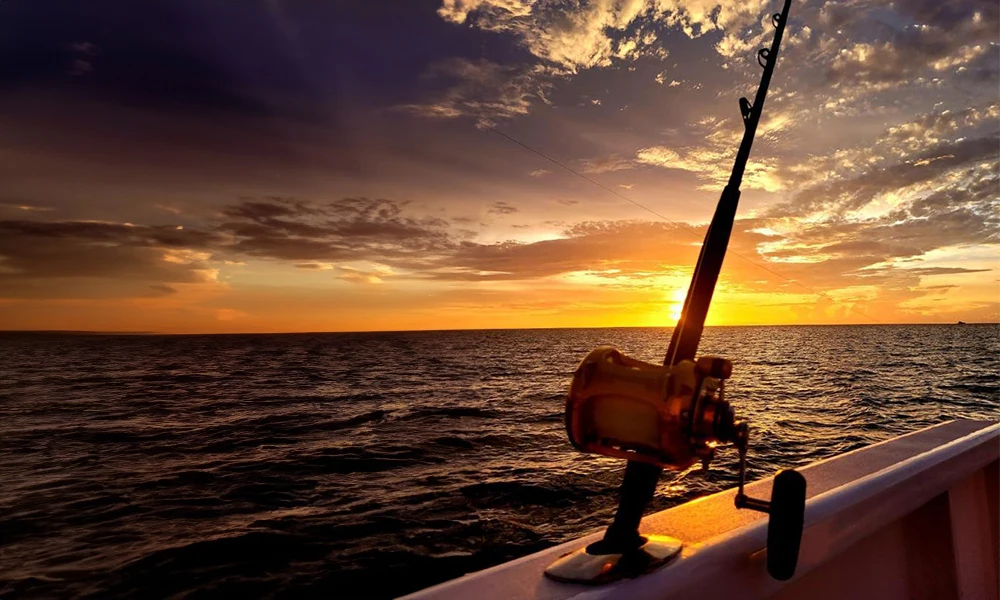 La Patrona Fishing La Patrona Fishing