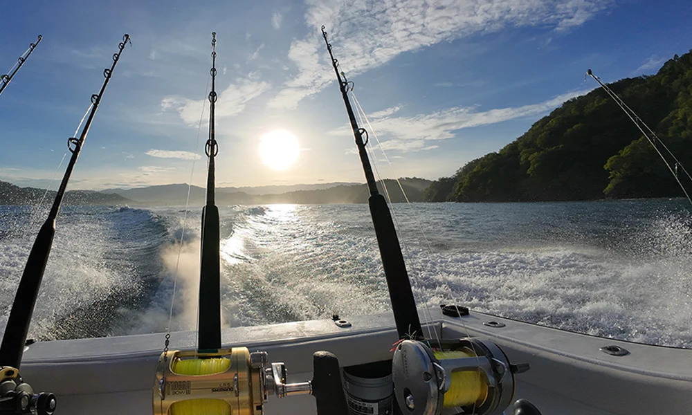La Patrona Fishing La Patrona Fishing