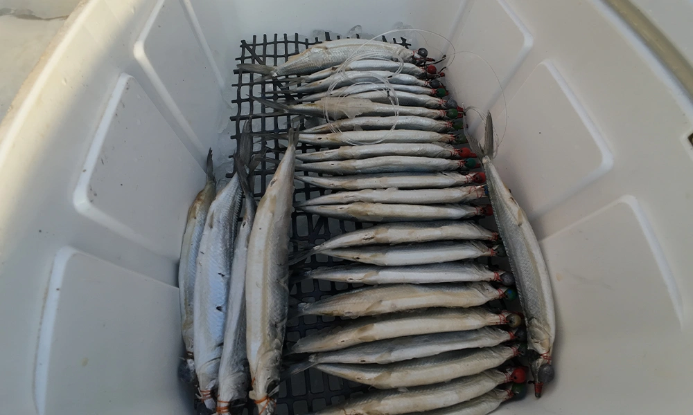La Patrona Fishing La Patrona Fishing