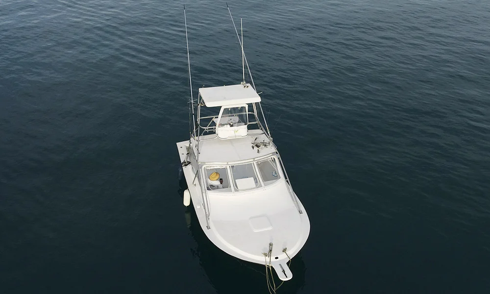 La Patrona Fishing