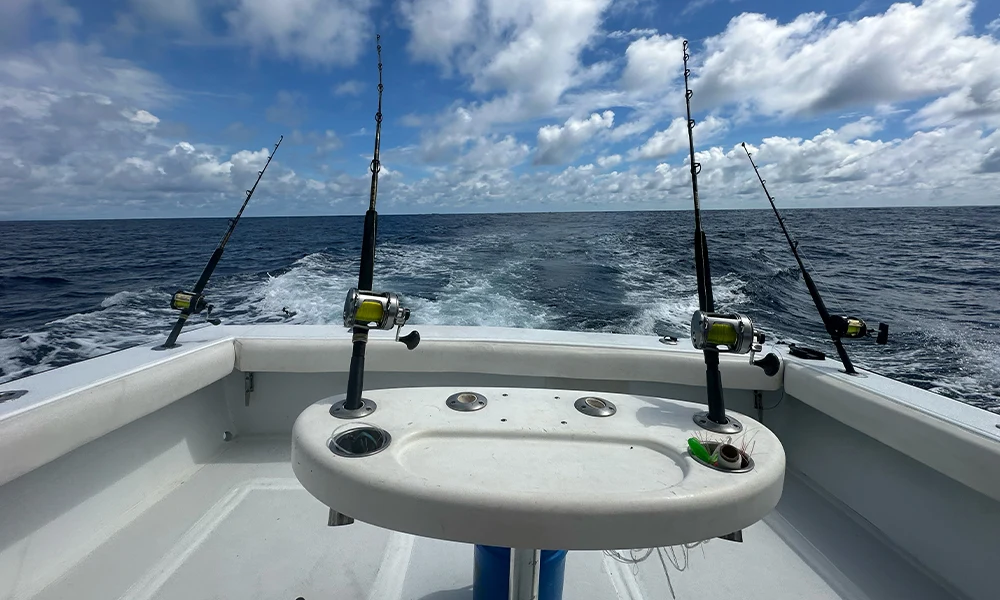 La Patrona Fishing