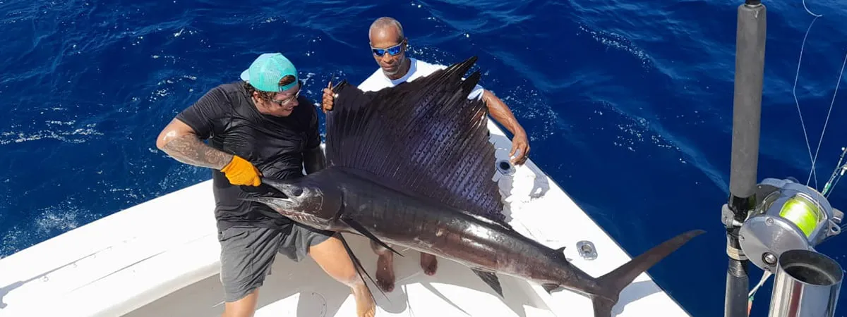 Sailfish Fishing Jaco