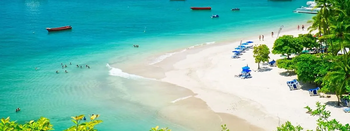 Tortuga Island Tour